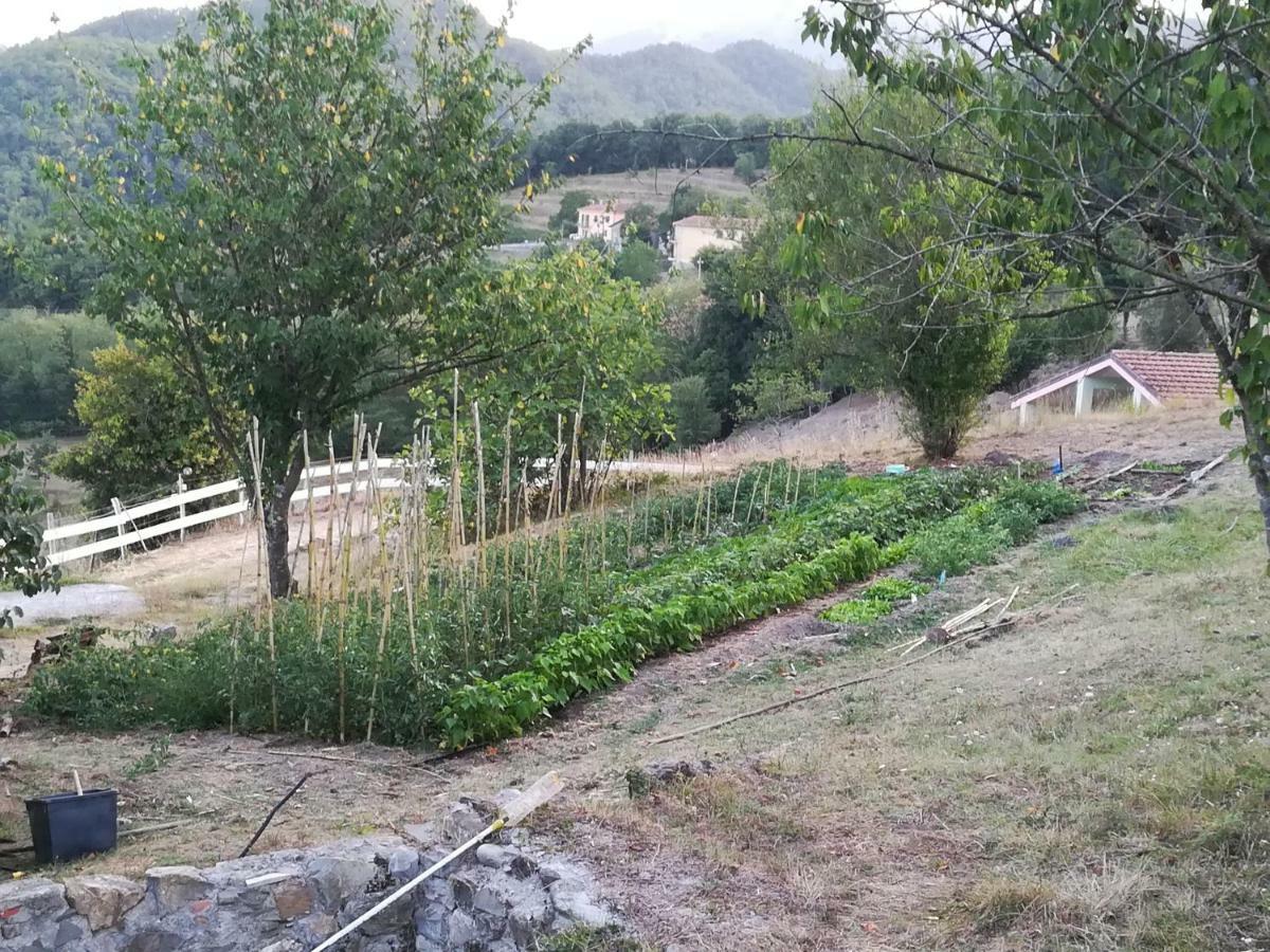 Agriturismo Dei Legi San Pietro Vara Exterior photo